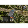 Comfort nożyce do gałęzi i krzewów starcut 160 plus (12000-20) GABARYT