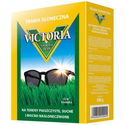 Top Decor nasiona traw Trawa mieszanka Victoria słoneczna 0 8kg TC4308